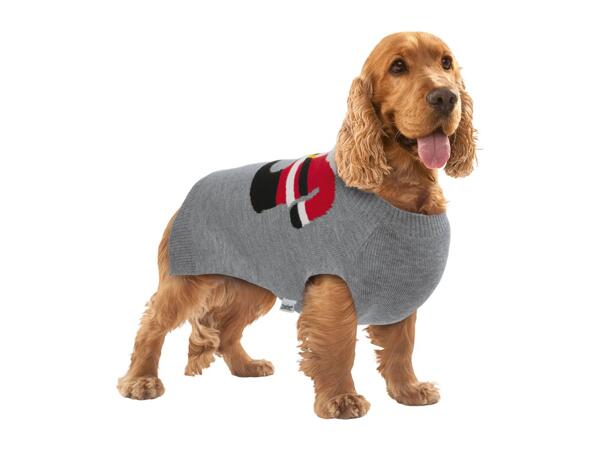 Zoofari Dog Christmas Jumper