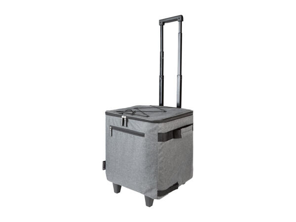 Top Move Cool Bag Shopping Trolley