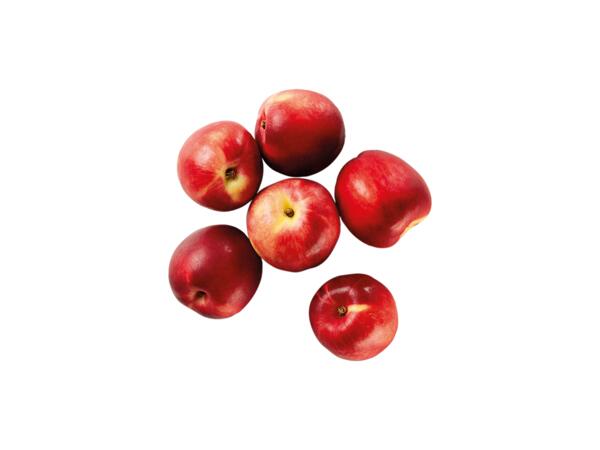 Nectarines