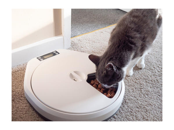 Pawise Automatic Electronic 5-Meal Pet Feeder