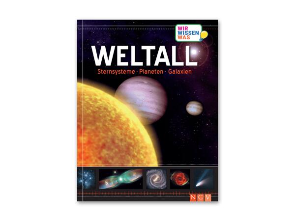 Wissensbuch