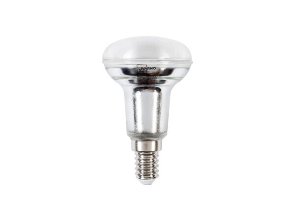 LED Light Bulb