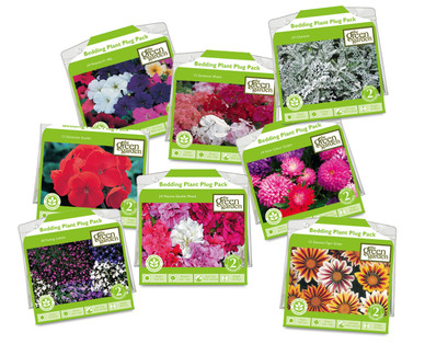 Bedding Plant Plug Packs
