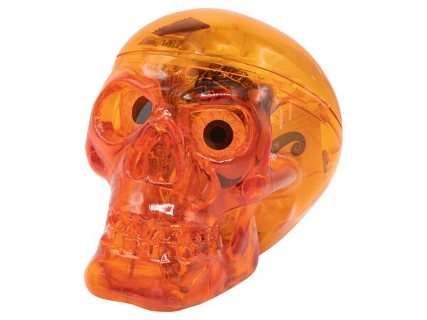 Skull with Sweets