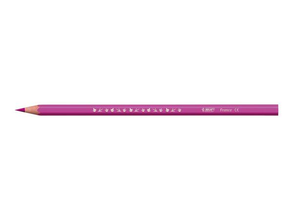 BIC Stationery Assortment