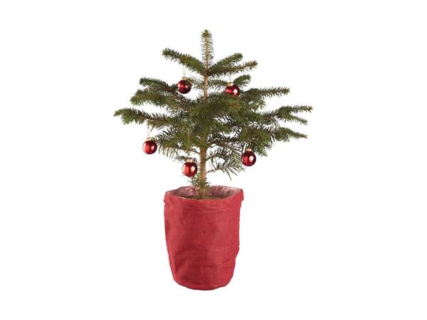 Apartment Christmas Tree
