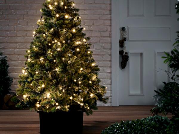 LED Fairy Lights
