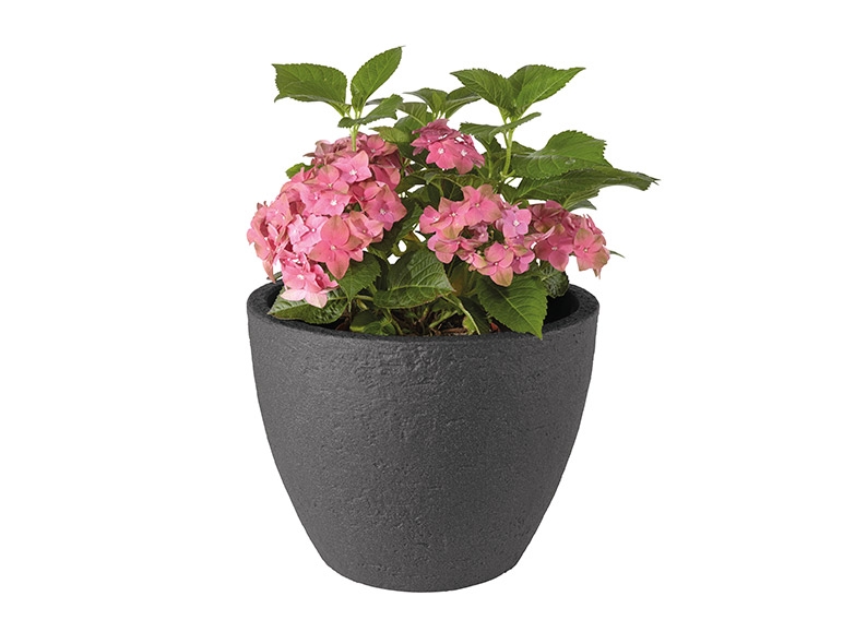 FLORABEST Round Planter