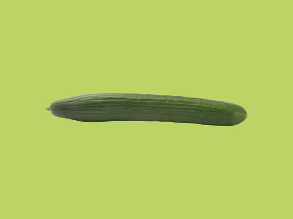 Cucumber