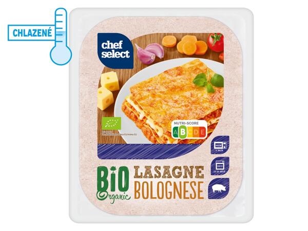 BIO LASAGNE