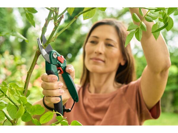 Secateurs Assortment