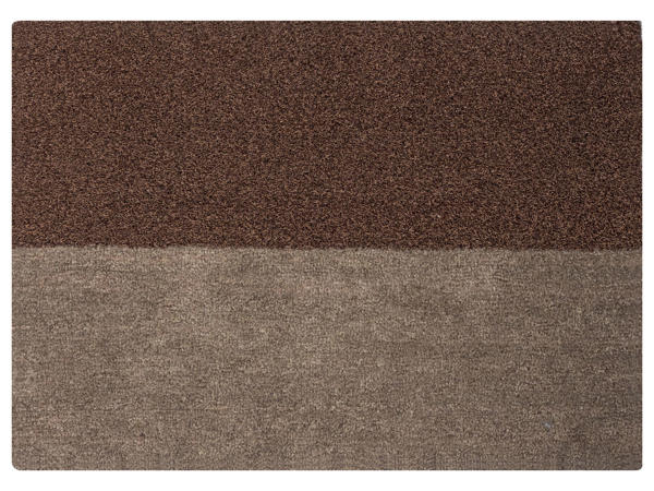 2-in-1 Doormat