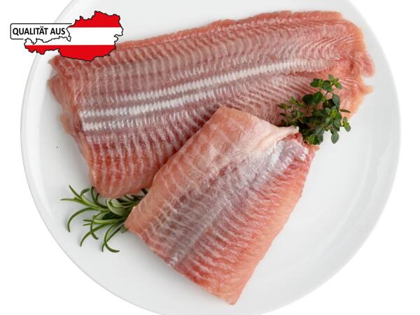 Frisches Welsfilet aus Österreich