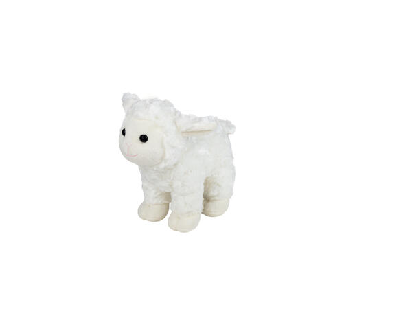 Plush Animal