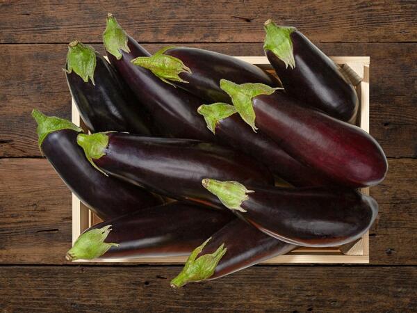 Aubergines bio