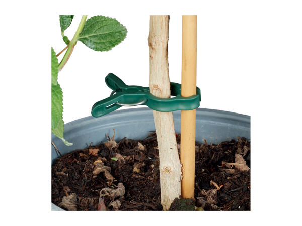 Parkside Planting Accessories Assortment