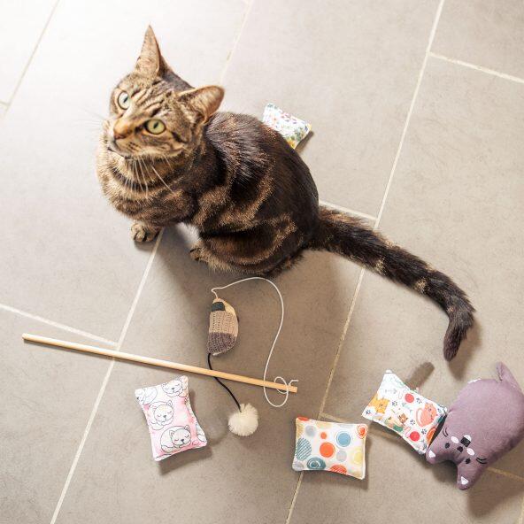 JULIET(R) 				Jouet pour chats