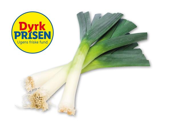 Danske porrer