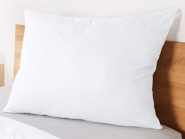 Anti-Mite Pillow