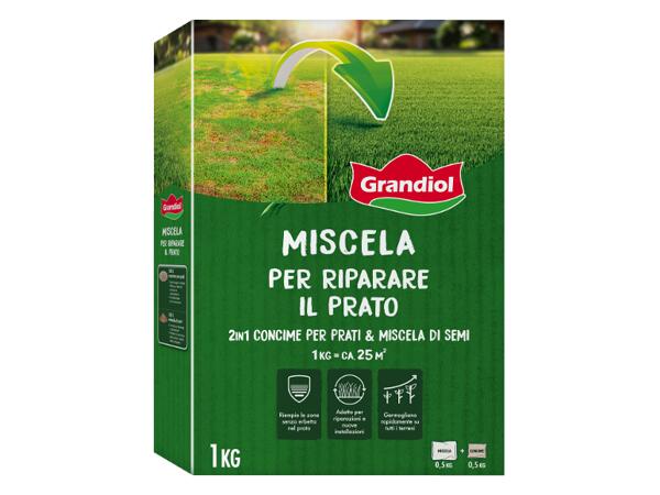 Lawn Repair Mix