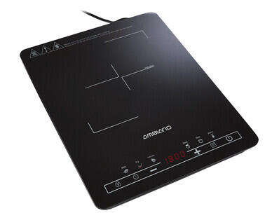 Induction Cooking Plate