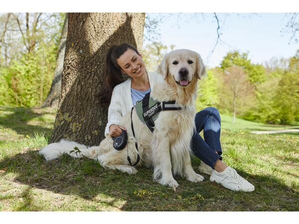 Dog Harness