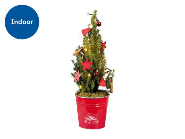 Small Christmas Tree with Lights and Decorations
