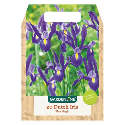 Spring Bulbs Assorted Varieties