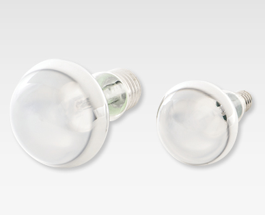 Lampadine alogene R50/R63 LIGHTWAY