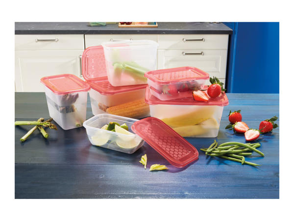 Ernesto Food Storage Containers1