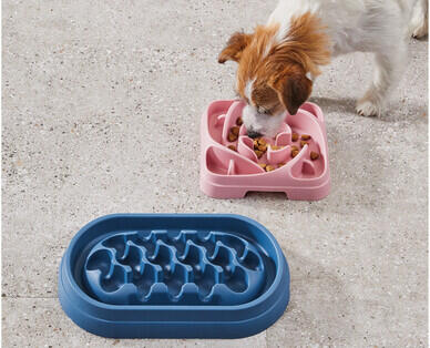 Slow Feeding Dog Bowl