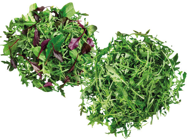 Rucola oder Mix Salat