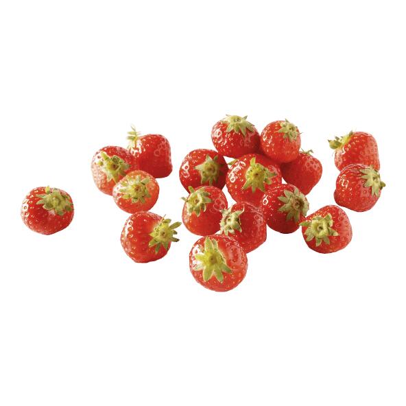 Fraises pour confiture