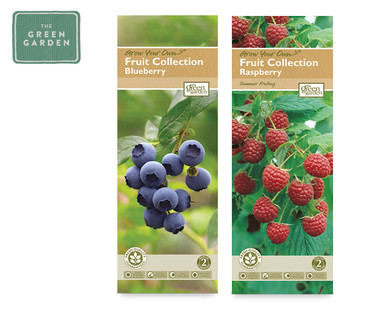 Fruit Collection