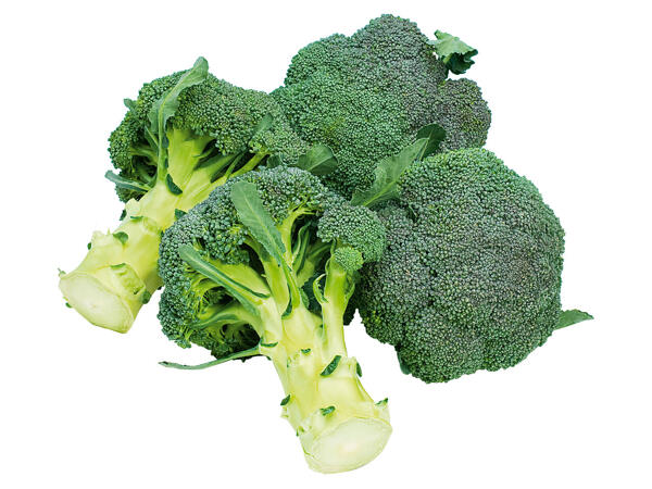 Broccoli