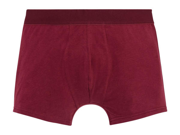 Livergy Men's SeaCellTM Boxer Briefs1