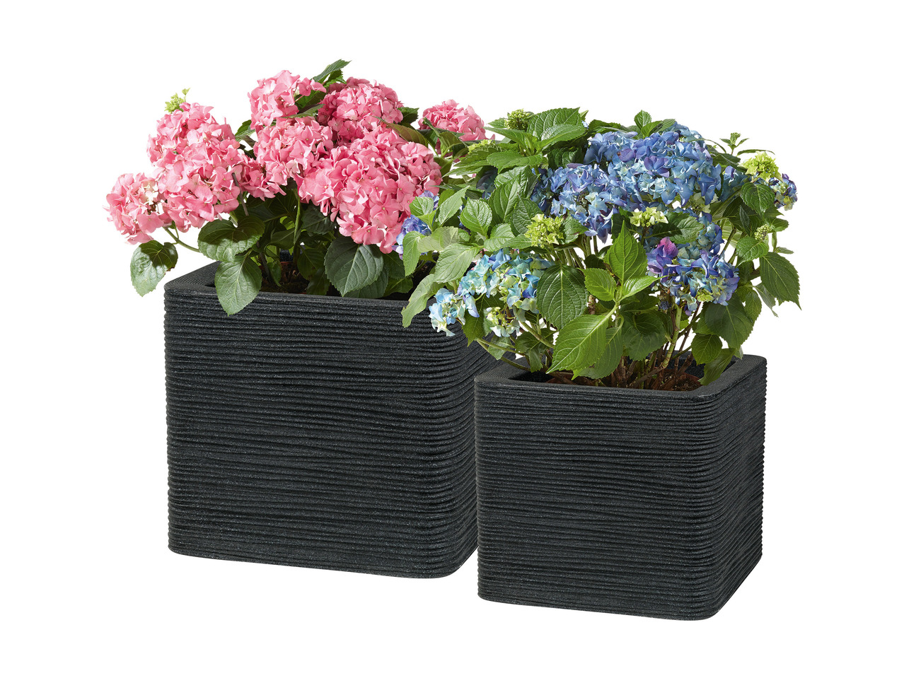 Planter 40x40cm