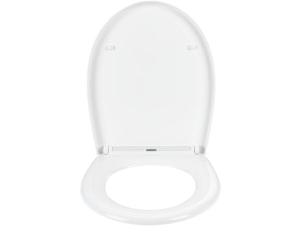 Toilet Seat