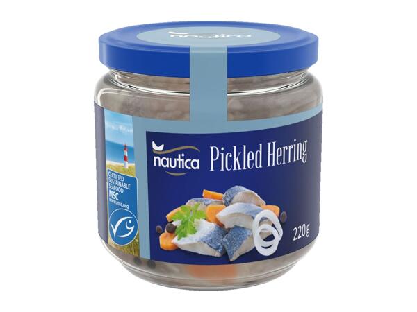 Nautica MSC Hering