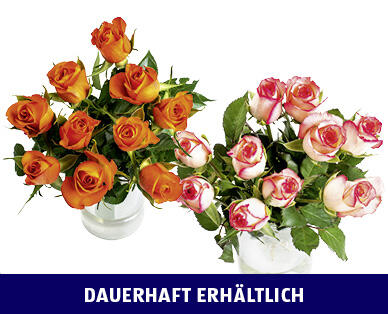 FAIRTRADE MAX HAVELAAR ROSEN