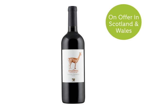 Chilean Malbec