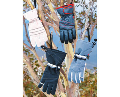 Adult's Ski Gloves