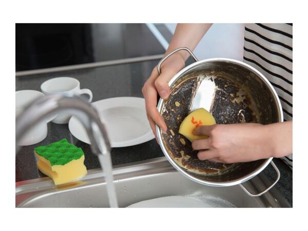 Vileda Sponges Assortment