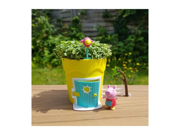 Peppa Pig Growing Pot