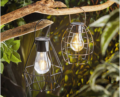 Hanging Outdoor Lights in Rustic Design