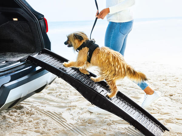 Dog Ramp