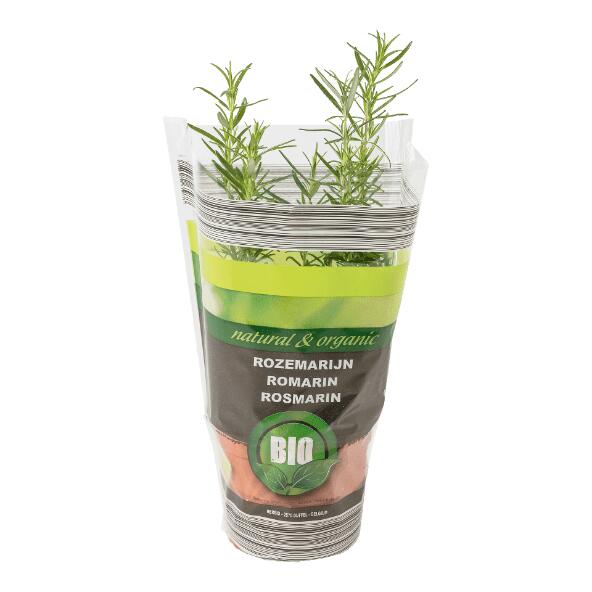 Biokruidenplant