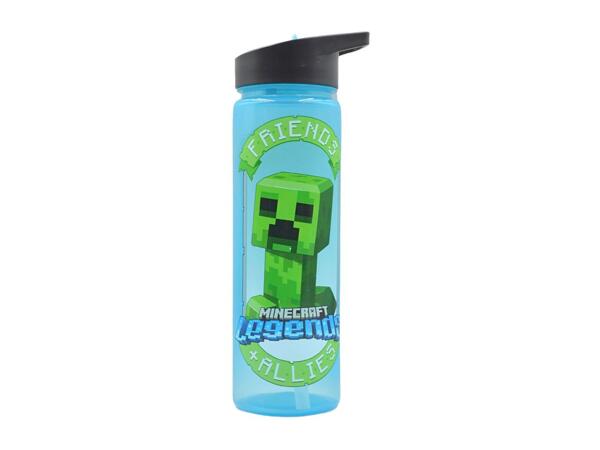 Zak 600ml Character Water Bottle