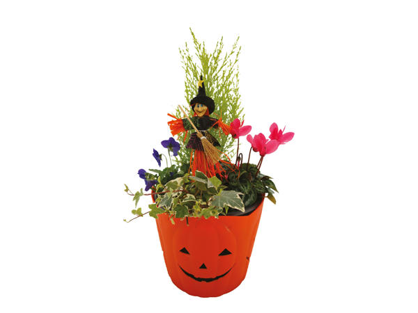 Pumpkin Planter