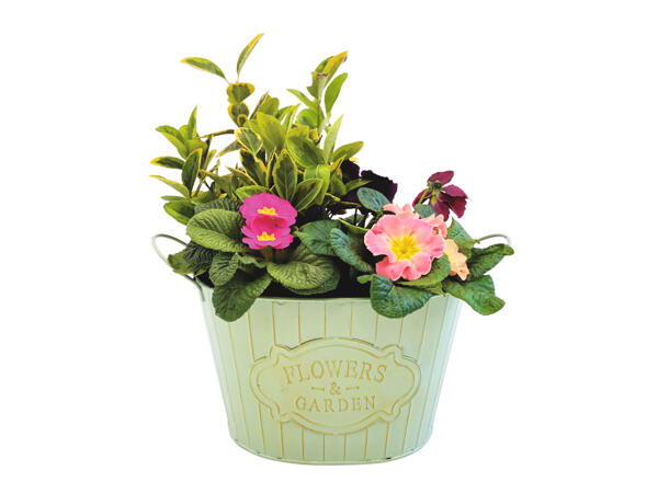 Flowers & Garden Planter